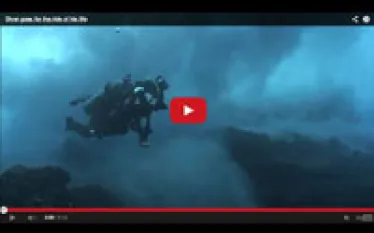 vortex-video_thumb.jpg.webp