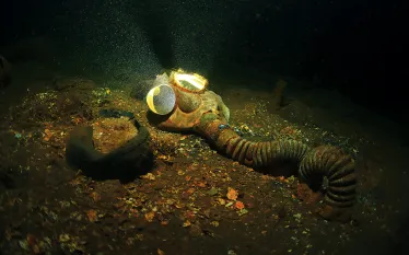 war-wrecks-.jpg.webp