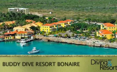 wbdr-buddy-dive-resort-bonaire_.jpg.webp