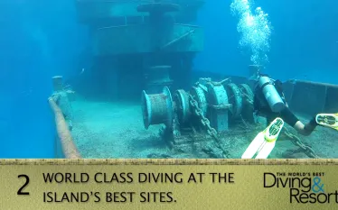 wbdr__don_fosters_dive_cayman.jpg.webp