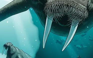 what_its_like_to_dive_with_walrus_teaser.jpg.webp