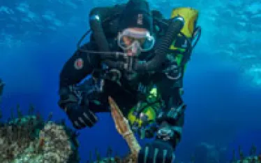 whoi-antikythera_thumb.jpg.webp