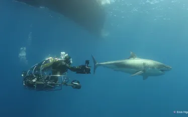 wil-self-propelled-shark-cage-camera-erick-higuera.jpg.webp