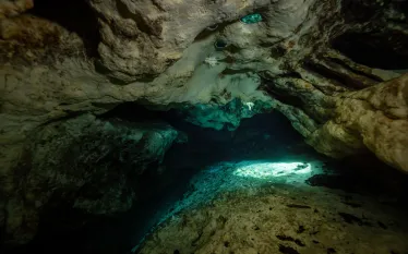 wil_discover-cave-.jpg.webp