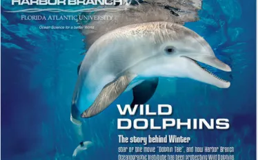 wild-dolphin-app.jpg.webp