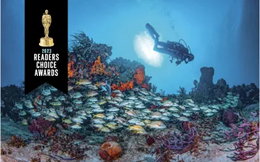 worlds-best-diving-results-teaser.png.webp
