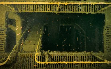 wreck-dive-interiors-.jpg.webp