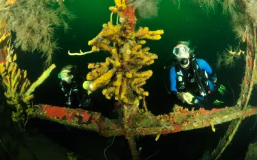 wreck-diving-bianca-c.jpg.webp