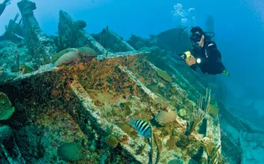wreck-tips.jpg.webp