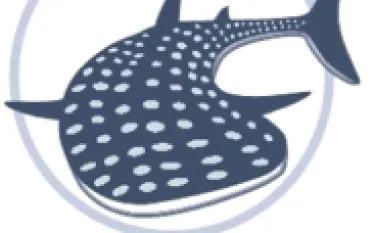wsorc_.png.webp