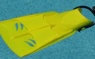 yellow_fin-crop.jpg.webp