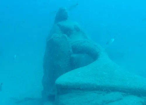 andreas-reef-mermaid-palm-beach-florida.jpg.webp
