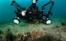 _Hermit Crabbing rig with frogfish.jpg.webp