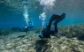 KPaterakis_Fins-.jpg.webp
