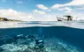 Low-Res_A-split-shot-of-scuba-divers-departing-on-a-dive-in-Nusa-Penida C-Indonesia.jpg.webp
