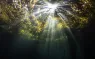 Natural_Light_Image.jpg.webp