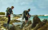 PADI womens dive day bonaire   .png.webp