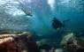 Paterakis_LaPaz_FourthElement_LosIslotes_SeaLions--.jpg.webp