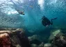 Paterakis_LaPaz_FourthElement_LosIslotes_SeaLions--.jpg.webp