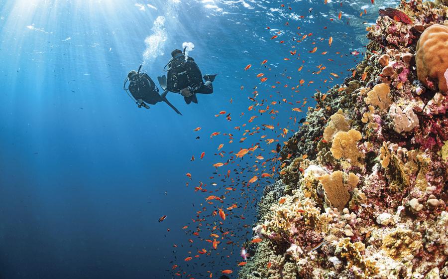 Sea and Sea LX-4000SW FS | Scuba Diving