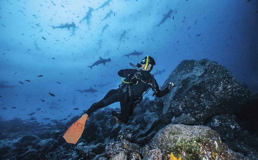 ScubLab: Fins - Tusa SF-15 X-PERT Zoom Z3 | Scuba Diving