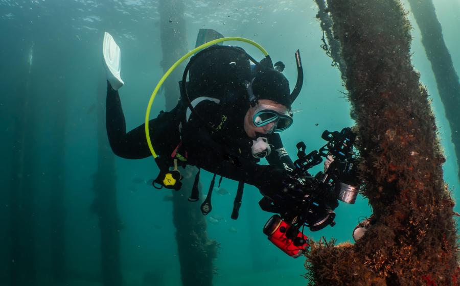 THE 10 BEST Orlando Scuba Diving & Snorkeling (Updated 2024)