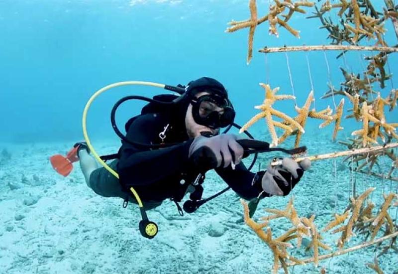 Premium Photo | Male diver in scuba gear poses in pool, diving