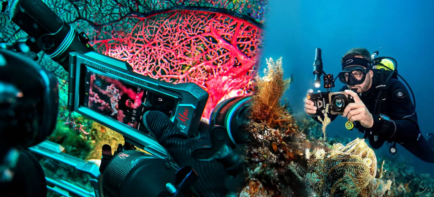 divevolk scuba diving smartphone underwater housing for underwater photography and videography