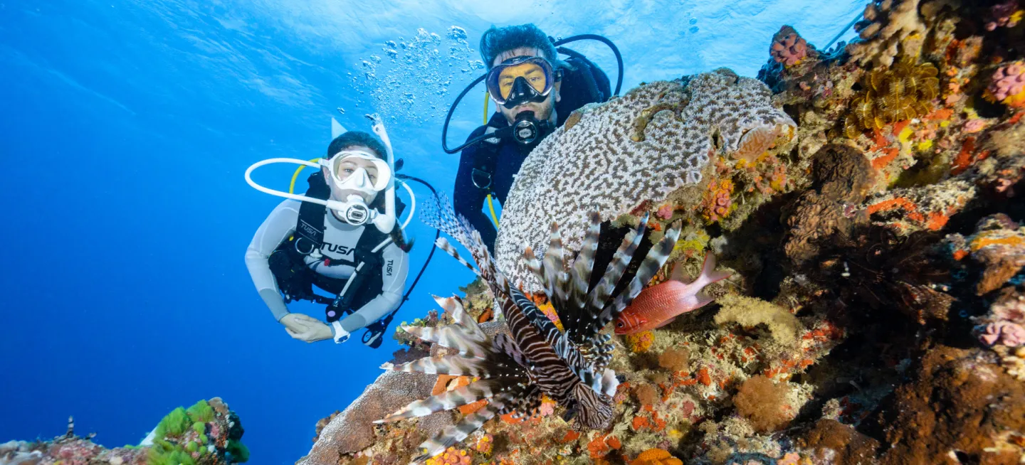 Two scuba divers in full gear swim beside a coral reef filled with bright sponges and fish, with a lionfish prominently in the foreground.