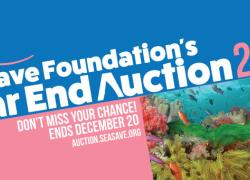 Sea Save Foundation auction