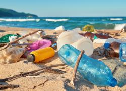Beach litter