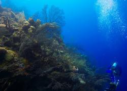 Half Moon Cay