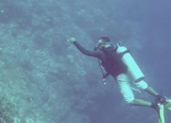 pompion wall scuba diving