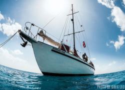 Scuba diving liveaboard trip Blackbeard Cruises Morning Star