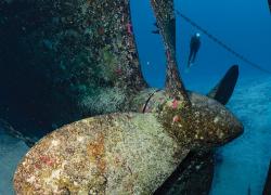 cayman islands shipwreck