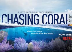 chasing coral documentary