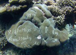 coral carved writing Bali