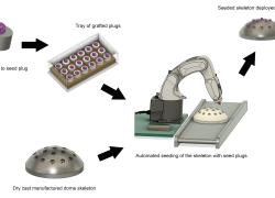 Coral maker production line