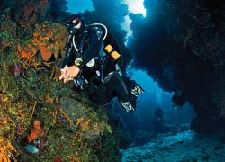 cozumel best diving