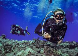 Yoga and Diving