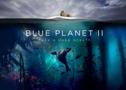 blue planet ii trailer