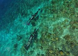 scuba divers manado indonesia