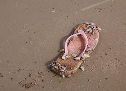 flip-flop