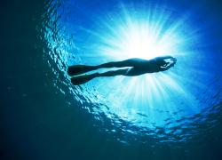 Freediver Silhouette 