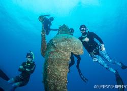 Freedivers Grand Cayman guardian reef