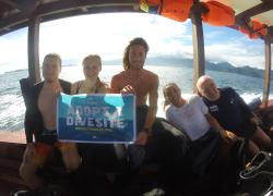 gili shark conservation