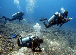 Gili coral reef survey