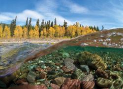 Middle Fork Flathead River Glacier National Park