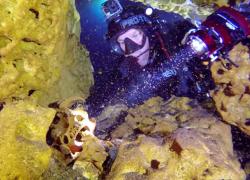 gopro video series cenote exploration