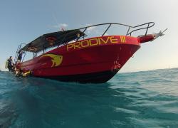 Pro Dive ship
